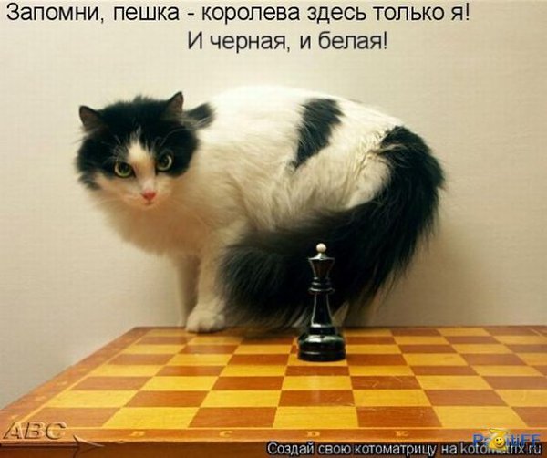   :3 - 20  2014  10:34