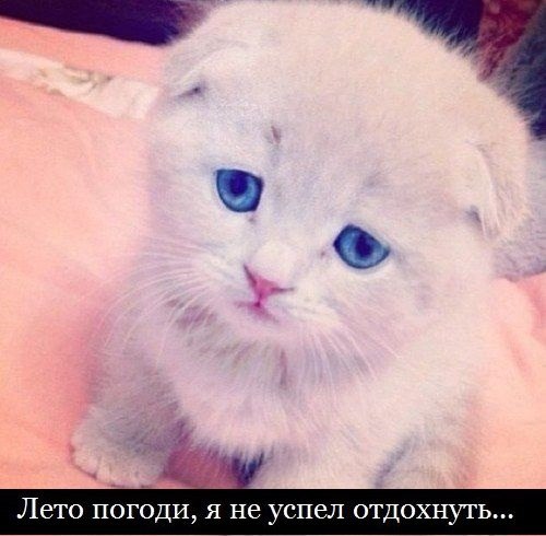    :D - 13  2014  16:37