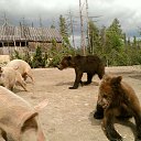 ������ �������� ������������ �� ������� �������� ������ ������