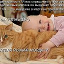 ���� ������, ������, 59 ��� - ��������� 28 ����� 2014 � ������ ������ ��������
