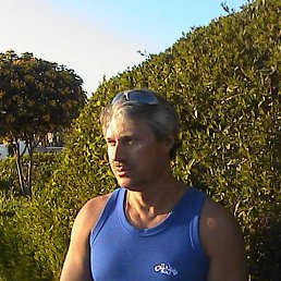 ���� ������, ������ �������� - ��������� 2 ��� 2014