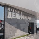  ,  -  10  2014   