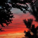 �����. ���� 2014 �� ������� ������������ �������Ȼ