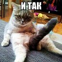 ���� Mar��, �����-���������, 48 ��� - ��������� 12 ���� 2014 � ������ ���� ����������