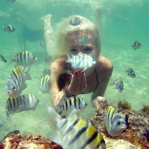   .. - 30  2014  15:32 - 2