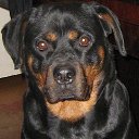 ���� ����, ������ �����, 70 ��� - ��������� 20 ������ 2014