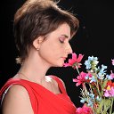 ���� ����, ������� - ��������� 15 ��� 2014 � ������ ���� ����������