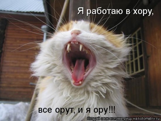   :3 - 5  2014  14:37