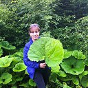  , --, 52  -  18  2014     2014