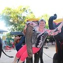 ���� �������, ���������������, 60 ��� - ��������� 11 ���� 2014 � ������ ���� ����������