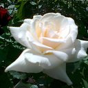 ���� ����, ���������, 58 ��� - ��������� 5 ���� 2014 � ������ ���� ����������