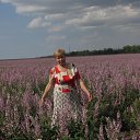 ������� ���� ������!!! � ���������!!! �� ������� �����