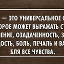 ���� ������, ������������ - ��������� 15 ���� 2014