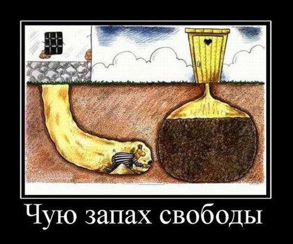  - 11  2014  13:03
