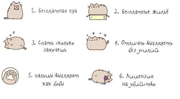 /zev/null - 11  2014  11:56