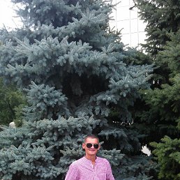 ���������, ������, 47 ���