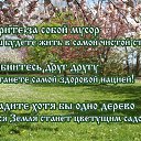���� Alex, �����-���������, 54 ���� - ��������� 8 ������ 2014 � ������ ������ ��������