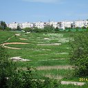 ���� �����, ������, 44 ���� - ��������� 2 ���� 2014 � ������ ������������ ����� � ��������� ����������