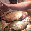 ���� ���������, �����-���������, 39 ��� - ��������� 1 ��� 2014