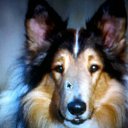 �����.������ 2014�. �� ������� ���������