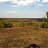  Creg, , 44  -  5  2014