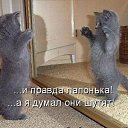 ���� ������, ������� - ��������� 10 ���� 2014 � ������ ������ ��������