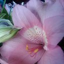 ���� ������� .), ���� - ��������� 9 ������� 2014 � ������ ���� ����������