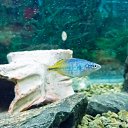  , , 46  -  24  2014      &quot; &quot;