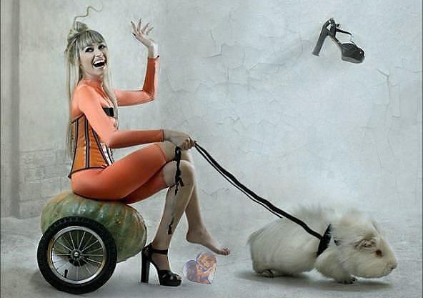 �������: � �������� ��� �������, ����� �������? �����: � ��� ��� ���������. ������ ����� ������ ...