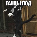  , , 46  -  19  2014   ))))