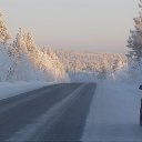 ���� �������, ��������, 47 ��� - ��������� 8 ������ 2014 � ������ ���� ����������