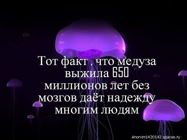   - 24  2014  05:39