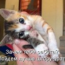 ���� �������, ������ - ��������� 12 ������ 2014 � ������ ������ ��������