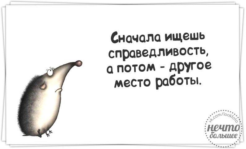 Сначала страница. Сначала ищешь справедливость а потом другую работу. Справедливость на работе. Сегодня искали справедливость на работе. Вчера искали справедливость.