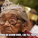 ����� �� ������� ���� ����������