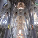  Svetlana, , 59  -  15  2014    2013