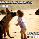 ���� ��@�t��, �����-��������� - ��������� 10 ��� 2014 � ������ ������ ��������