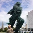  Larysa,  -  12  2014   New photos