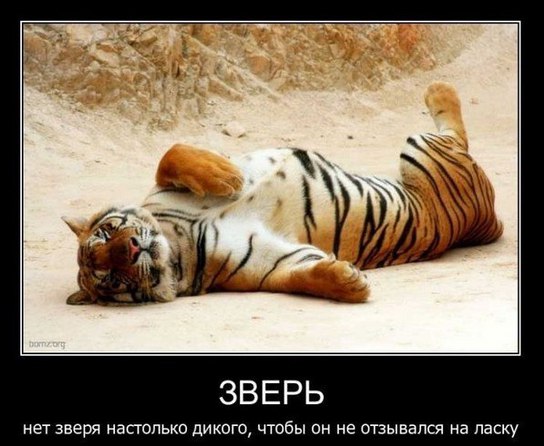  - 21  2014  20:19