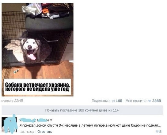 .•°Dogs Forever°•. - 3 августа 2014 в 23:34