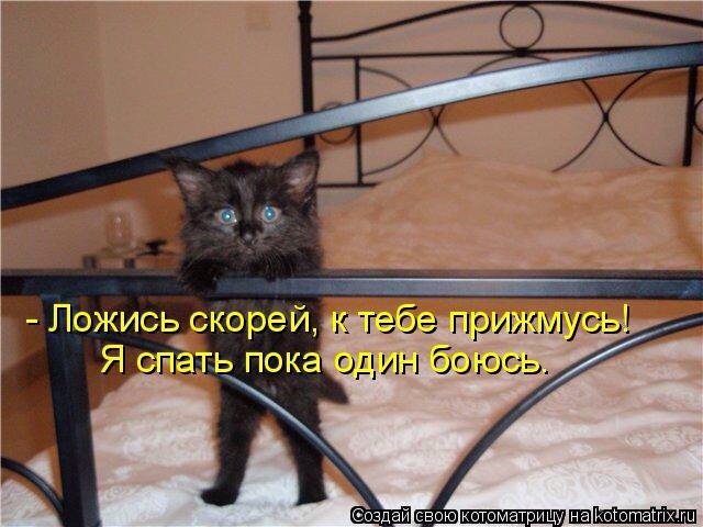   ))