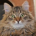 ���� ����������, ������� ��������, 63 ���� - ��������� 6 ���� 2014 � ������ ������ � �����