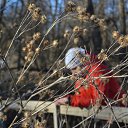 ���� ����, ��������, 52 ���� - ��������� 29 ��� 2014 � ������ ���� ������!!!!�