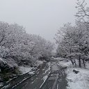 ���� �����, ������, 44 ���� - ��������� 1 ���� 2014