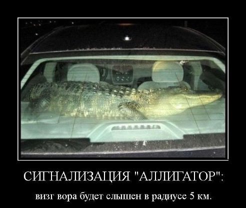 ������ - 7 ���� 2014 � 20:14