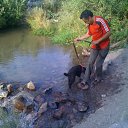 ���� ��������, ������ - ��������� 4 ���� 2014 � ������ ������