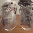 ���� �����, ������, 35 ��� - ��������� 8 ������ 2014 � ������ ������ ��������