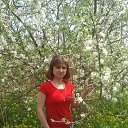 ���� ��������, ���������, 49 ��� - ��������� 3 ���� 2014 � ������ ���� ����������