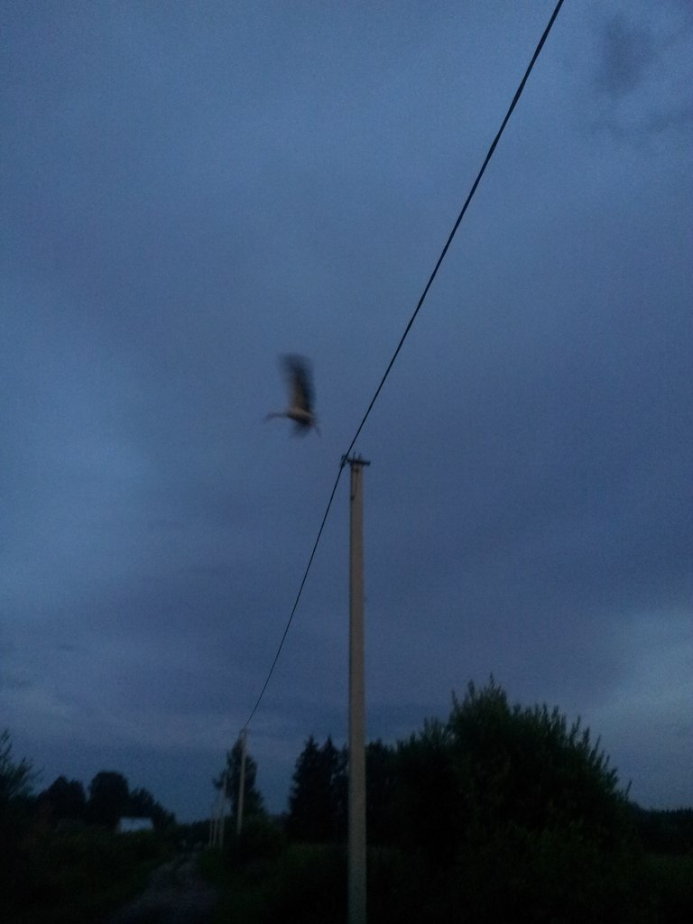 ������� ������� - 21 ���� 2014 � 22:58 - 10