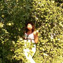 ���� ���������, ����� - ��������� 19 ������� 2014 � ������ ���� ����������